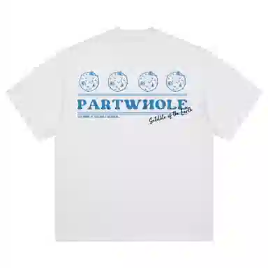 PARTWHOLE 240insT