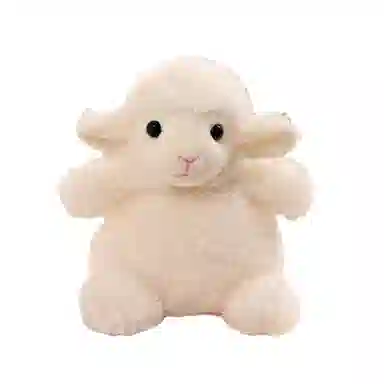 20cm