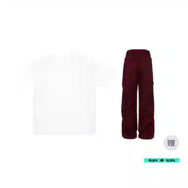 pallsupol