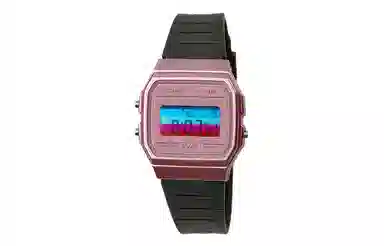 CASIO F-91WS-4 Paleoasis