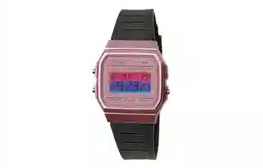 CASIO F-91WS-4 Paleoasis