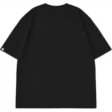 HIPANDA T