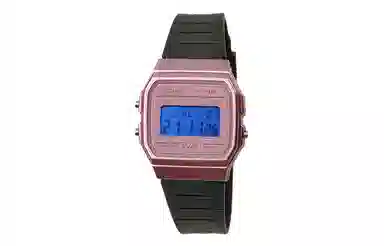 CASIO F-91WS-4 Paleoasis