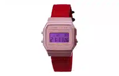 CASIO F-91WS-4