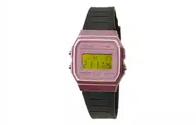 CASIO F-91WS-4 Paleoasis