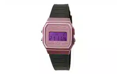 CASIO F-91WS-4 Paleoasis