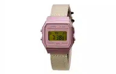 CASIO F-91WS-4