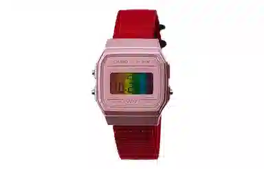 CASIO F-91WS-4