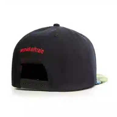 Rainmaker Cap dollar