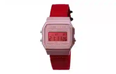 CASIO F-91WS-4