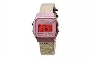 CASIO F-91WS-4