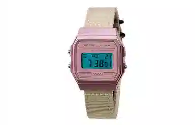 CASIO F-91WS-4