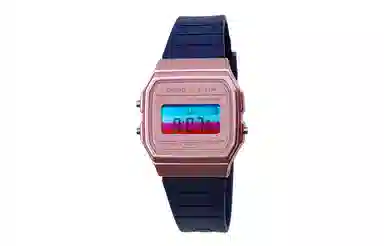 CASIO F-91WS-4