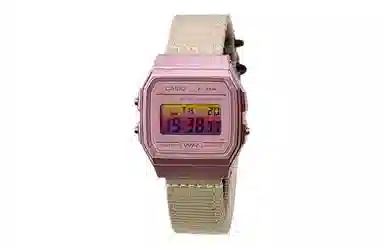 CASIO F-91WS-4