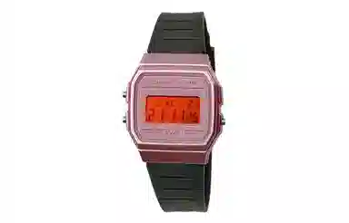 CASIO F-91WS-4 Paleoasis