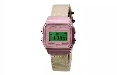 CASIO F-91WS-4