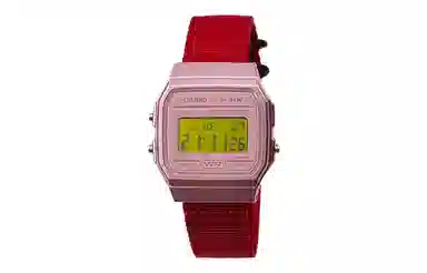 CASIO F-91WS-4