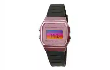 CASIO F-91WS-4 Paleoasis
