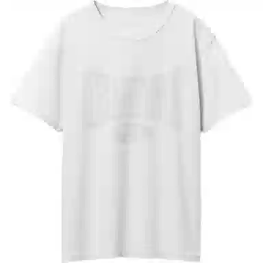 alexander wang T