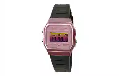 CASIO F-91WS-4 Paleoasis