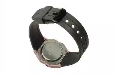 CASIO F-91WS-4 Paleoasis