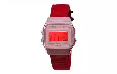 CASIO F-91WS-4