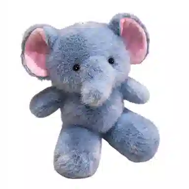 25cm