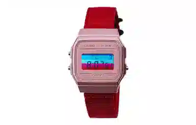 CASIO F-91WS-4