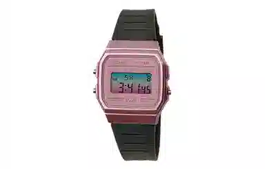 CASIO F-91WS-4 Paleoasis