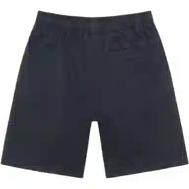 Stussy SS25 HEAVY JERSEY SHORT logo