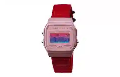 CASIO F-91WS-4