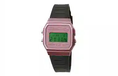 CASIO F-91WS-4 Paleoasis