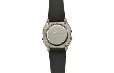 CASIO F-91WS-4 Paleoasis