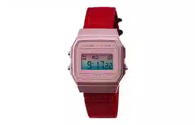 CASIO F-91WS-4