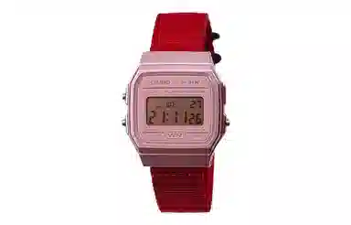 CASIO F-91WS-4