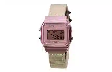 CASIO F-91WS-4