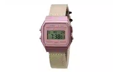 CASIO F-91WS-4