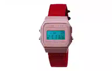 CASIO F-91WS-4