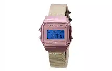 CASIO F-91WS-4
