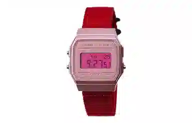 CASIO F-91WS-4