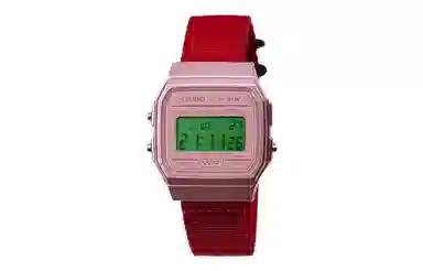 CASIO F-91WS-4