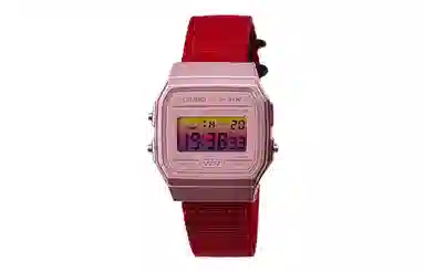 CASIO F-91WS-4