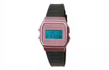 CASIO F-91WS-4 Paleoasis