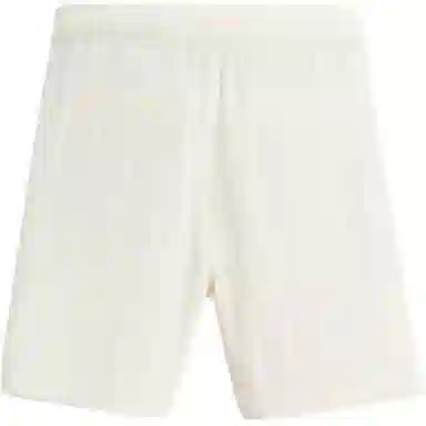 ZARA Striped Slim Casual Shorts