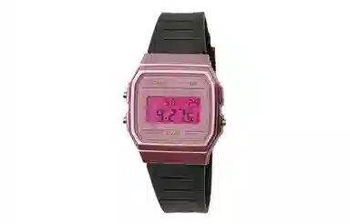 CASIO F-91WS-4 Paleoasis