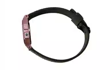 CASIO F-91WS-4 Paleoasis