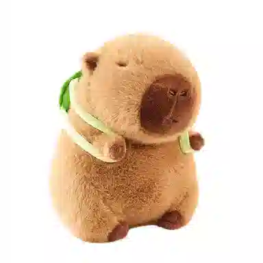 The Green Party 22cm33cm