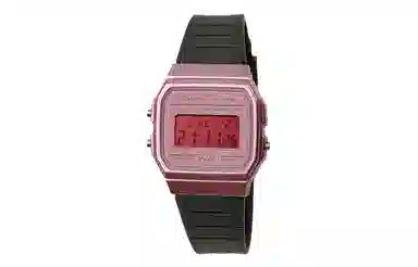 CASIO F-91WS-4 Paleoasis