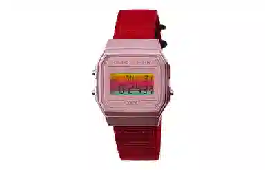 CASIO F-91WS-4