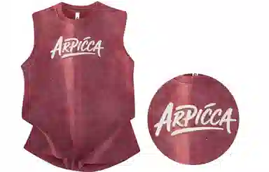 Picca logo